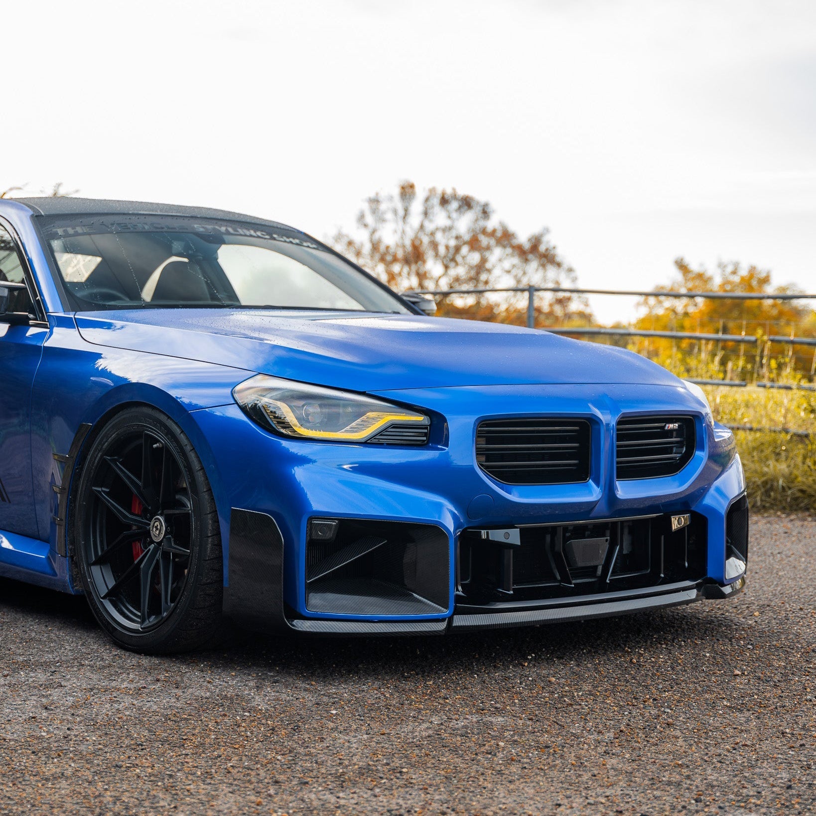 BMW M2 G87 Dry carbon fiber lower net - Amxnx